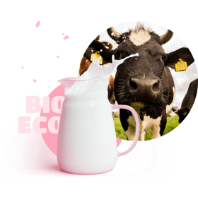 bio and eco cow-milk
